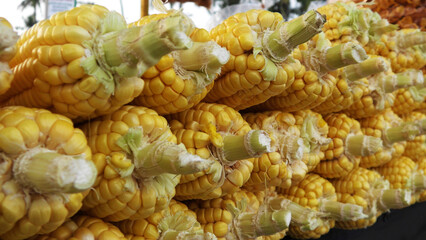 Fresh peeled sweet corn stacked in a street food stall