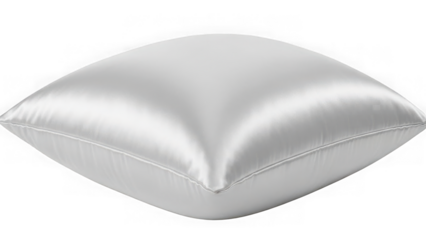 Elegant silver satin pillow