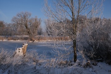 The winter scenery of Zulawy Gdanskie &ndash; the frozen Motlawa and Radunia rivers, frosty reeds and trees, and snow-covered fields. Poland