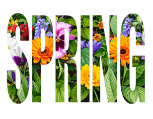 Untitled design - SPRING Text Filled With Colorful Flowers and Green Leaves, Botanical Typography, Transparent PNG
