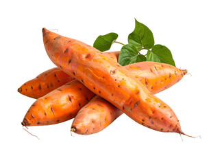 A vibrant pile of orange, elongated root vegetables with green leaves