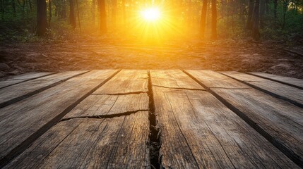 Sunlight streams through forest trees illuminating cracked wooden planks in a warm outdoor scene