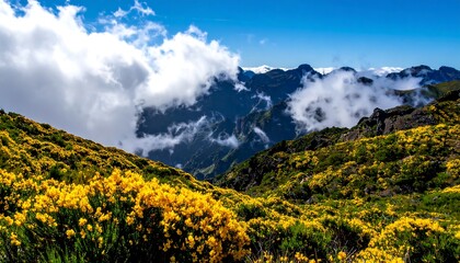 Obraz premium Mountain landscape with yellow flowers.