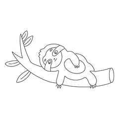 Obraz premium Sloth on a branch stroke