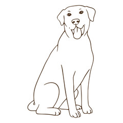 Fototapeta premium Labrador stroke sitting