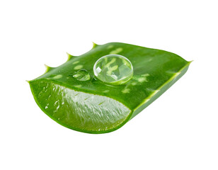 Close-up of cut aloe vera leaf with water droplets on black background