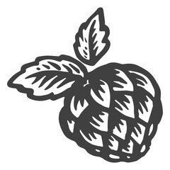 Hop plant for beer brewing