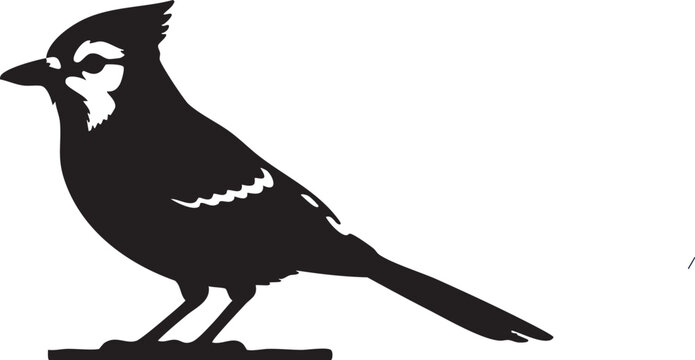 Elegant silhouette of a blue jay perched on a branch, showcasing its distinctive crest and markings.