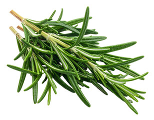 Fresh, fragrant green herb sprigs tied together on a dark background