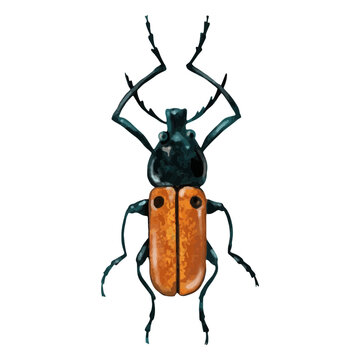 Stag beetle textured insects