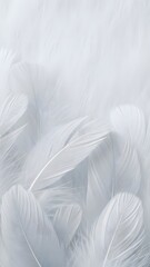 Obraz premium Close-up of white feathers, conveying a sense of softness and purity