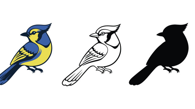 Three different bird illustrations on a white background, blue jay, black silhouette, and white bird
