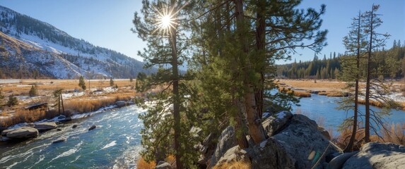 Sunny winter scene with pine trees, rocks, and river banks in Central Oregon