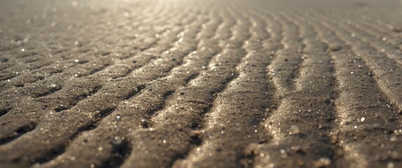Beach scene with wet sand in focus