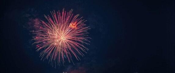 Colorful fireworks brightening the night sky