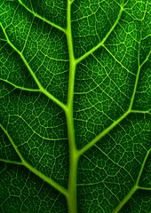 Close up leaf veins vibrant green macro detail