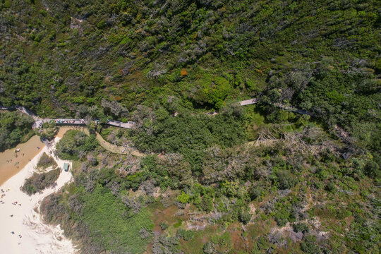 Aerial view of the wooden boardwalk snaking through the dense green forest meeting 75 Mile Beach, Eli Creek, K'Gari Fraser Island, Queensland, Australia.