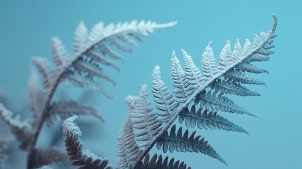 Frosty fern leaves against cool blue background symbolizing winter beauty and nature&rsquo;s resilience. Ultra-realistic high resolution detail of frozen green foliage.