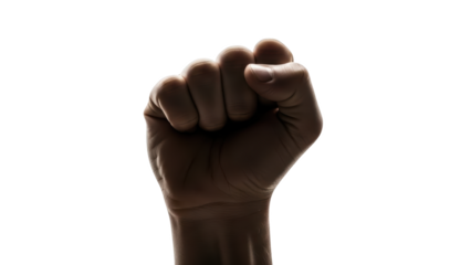 Silhouetted human fist raised in a powerful gesture of strength and determination.