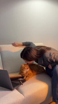 Girl kissing her domestic orange cat while working remotely from home with laptop in the evening