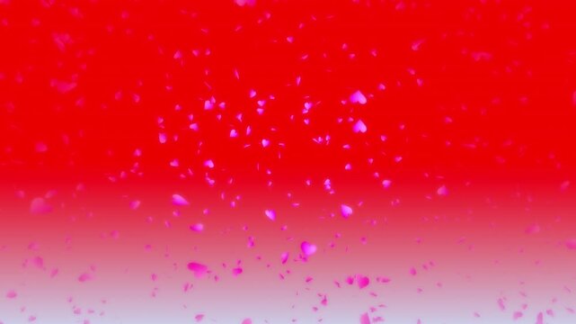 Pink heart shapes being lit up and falling down on red gradient background. Abstract background for Happy Valentine's day and wedding ceremony.