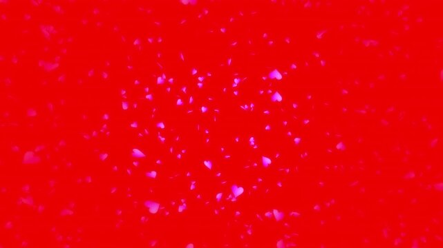 Pink heart shapes being lit up and falling down on red solid background. Abstract background for Happy Valentine's day and wedding ceremony.