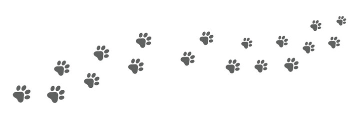 Paw print of dog isolated on transparent background. cat paw print. cat walk foot print. Paw print of dog PNG © Daishin