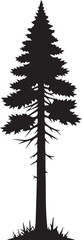 Obraz premium Tall pine tree silhouette vector illustration with needle leaves and branches