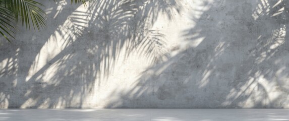 shadows and light effects on a shadow wall background in summer