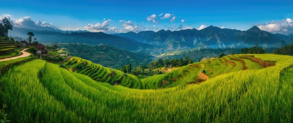 Acrylglasbilder Reisfelder Northern Vietnam's Mu Cang Chai: Scenic terraced rice fields in Yenbai  © TheWaterMeloonProjec