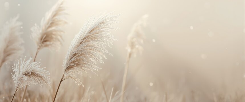 Detailed view of frost-laden pampas grass on a beige backdrop, featuring gentle pastel colors, icy textures, and the tranquil elegance of frozen plants in a peaceful winter scene