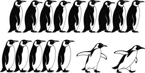 Collection of penguin silhouettes in various poses, set of arctic bird icons for winter nature and wildlife design, isolated vectors © Mst