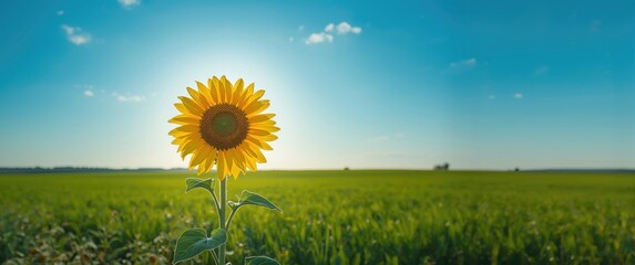 Green And Blue Landscape Featuring