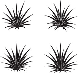 Fototapeta premium Four black agave plant silhouettes in different positions 