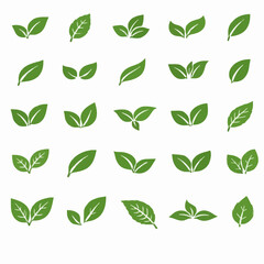 Simple Green Leaf Collection