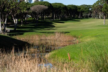 Obraz premium Sand bunker on a golf course without people with a row of trees in the background during sunset 