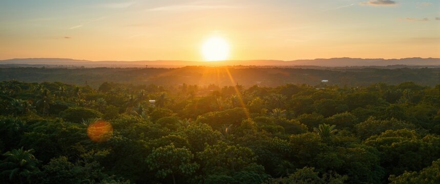Bani, Dominican Republic: Drone view of mango trees at sunset