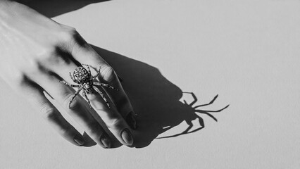 Araign&eacute;e sur la main d'une femme 