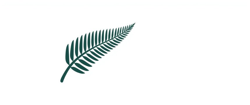 Solid style Fern glyph icon with leaf, kiwi, Maori, and bird elements. New Zealand symbol concept, 2D illustrated silhouette on white background.