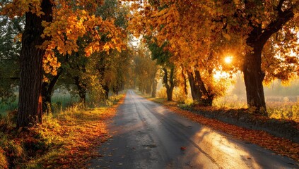 Fototapeta premium Scenic perspective of road flanked by vibrant autumn trees with sun rays illuminating