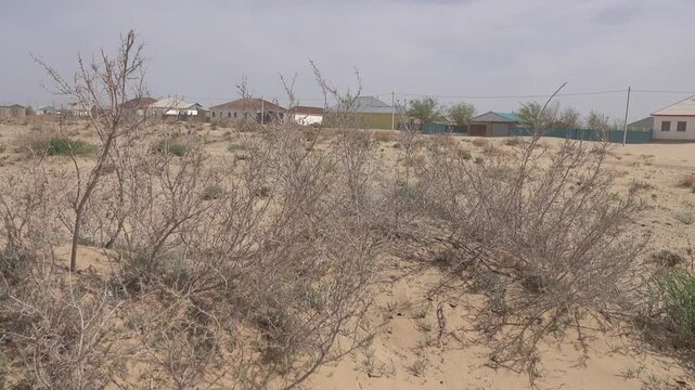 Variation of climate and aridization. Aralsk City is officially part of Aral Sea ecological disaster zone. Sea has practically dried up and disintegrated into water bodies. Population is emigrating.