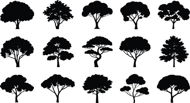 Collection of various tree silhouettes on white background for design use