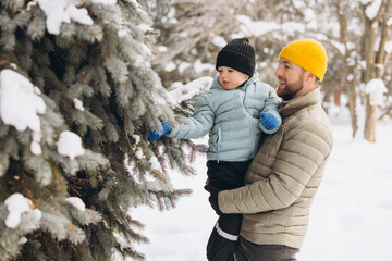 Father holding son exploring a snowy pine tree, enjoying winter outdoors and family bonding moments in nature