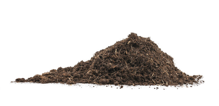 pile peat moss soil isolated on a white background. texture dirt in flowerpots for tree flower. compost dust gardening and agricultural