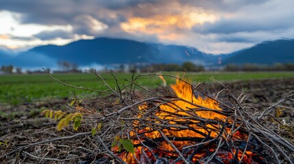 A campfire burns in a field with a mountain range in the background.
