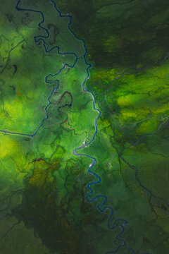 Aerial view of a vibrant river meanders through a lush green valley, a snake of blue against the verdant landscape, Phobjikha Valley, Wangdue Phodrang, Bhutan.