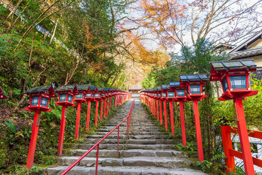 Stone stairs with traditional red lanterns at Kifune Shrine in Kyoto, Japan during autumn. Beautiful fall foliage and spiritual atmosphere at the famous Shinto shrine.