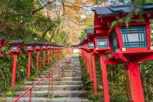 Traditional red lanterns lining the stone stairs at Kifune Shrine in Kyoto, Japan during autumn. Beautiful fall foliage and spiritual atmosphere in a historic Shinto shrine.