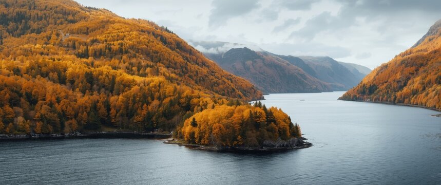 Fall foliage over the Ustedalsfjorden fjord in the Buskerud area near Geilo, Norway