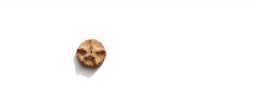 Rugosa colonial coral with Four-ray structure, Petalaxis, from the Carboniferous era (Carbon) inside limestone, about 300 million years ago, Russia. Macro photography on white background.